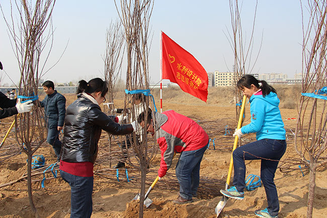 設(shè)計(jì)院干部職工在玉符河畔參加義務(wù)植樹活動(dòng)